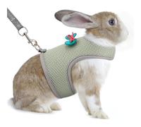 Harnais souple réglable avec laisse élastique pour lapins, harnais respirant pour l'extérieur, camping, randonnée, entraînement (vert olive, taille M)