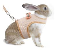 Harnais souple réglable avec laisse élastique pour lapins, harnais respirant pour l'extérieur, camping, randonnée, entraînement (beige, taille L)