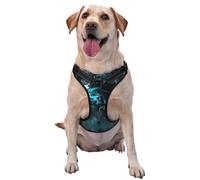 Harnais spatial abstrait pour chien - équipé de bandes réfléchissantes pour animaux de compagnie et de boucles à dégagement rapide - Convient à tous les types de chiens