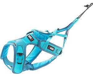Harnais Sport X-Back Phoenix ALM pour Courir avec Son Chien et activité Sportive ou Loisirs, réglables Multiples CANI Cross, CANI Jogging, CANI Trail, CANI Rando, I-DOG Marque Française. (M)