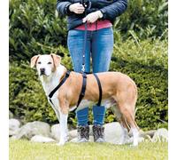 Harnais Stay - Xs-S: 30-40 Cm/10 Mm, Noir