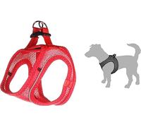 Harnais Step&GO BENTO Rouge XS 30-32CM