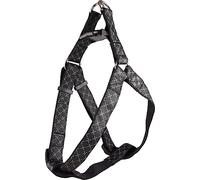 Harnais Step&GO Odin Noir L 50-70CM 25MM