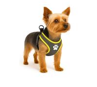 Harnais Step&GO TAHSA Gris XS 45-50CM