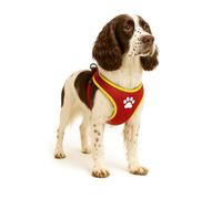 Harnais Step&GO TAHSA Rouge L 75-95CM