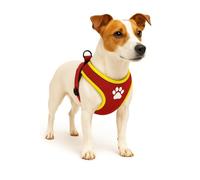 Harnais Step&GO TAHSA Rouge S 55-65CM