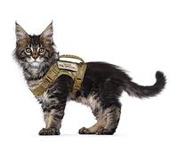 Harnais Tactique Anti-Fugue en Maille Souple réglable pour la Promenade de Grands Chats et Petits Chiens (L, Kaki)