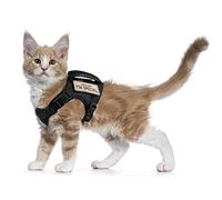 Harnais Tactique Anti-Fugue pour Chat - Maille Souple réglable - pour Grands Chats et Petits Chiens