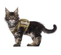 Harnais Tactique Anti-Fugue pour Chat - Maille Souple réglable - pour Grands Chats et Petits Chiens