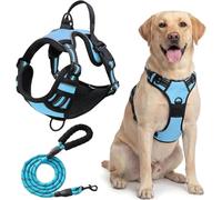 Harnais Tactique Robuste for Grands Chiens, Anti-Traction Réglable, Laisse Incluse(Blue,M)