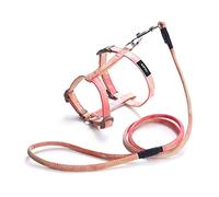 Harnais tendance pour chiens - Laisse réglable en nylon - Pour animal domestique - Pour la poitrine et le dos