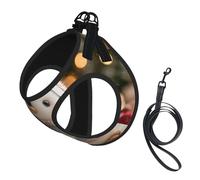 Harnais tricoté pour chien - Respirant, réfléchissant et réglable - Convient pour les petits chats et chiens