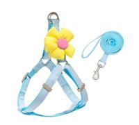 Harnais Veste Harnais Et Laisse for Chien, Poignée Souple Et Réglable Confortable pour Chiots Et Chats(Blue,44-62cm)