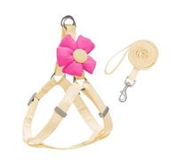 Harnais Veste Harnais Et Laisse for Chien, Poignée Souple Et Réglable Confortable pour Chiots Et Chats(Beige,36-52cm)