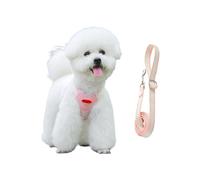 Harnais Veste pour Chien - Accessoire pour Animal avec Poignée Anti-Traction | Set Harnais Et Laisse pour Chiot,pour Chiots Et Chiens De Toutes Tailles pour Balades Sportives Randonnées Et Jeux en