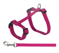 Harnais XXL avec laisse pour grand chats couleur aléatoire