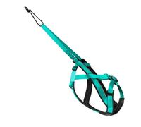 harnaisde Traction pour Chien - Grande Sangle réglable en Nylon, harnaisde sécurité réfléchissant, harnaisd'extérieur Solide et Confortable avec Une résistance à la Traction de 500 kg | pour traîne