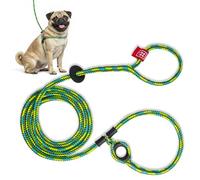 Harness Lead Ensemble Harnais et Laisse pour Chien Anti-Traction pour Toutes Races et Tailles, Corde rembourrée en Une Seule pièce pour empêcher de s'échapper et de Tirer (S/M - Forêt Tropicale)