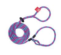 Harness Lead Harnais et Laisse pour Chien, Harnais Anti-Traction, Corde rembourrée Monobloc, empêche en Toute sécurité l'échappement et la Traction, Le Nouvel Insert est Amovible (Taille M/L, Reef)