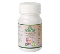 Harpagophyto 500 Mg 100 Comprimés