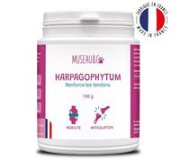 Harpagophytum 100g Chien et Chat, Articulations, Mobiltié, Souplesse, Fabriqué en France - Museau & Co