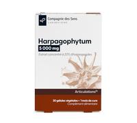 Harpagophytum 5 000 mg - Titré à 20% d'harpagosides - 1 mois de cure intensive