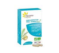 Harpagophytum - prêle - bambou bio - confort articulaire (40 gélules)