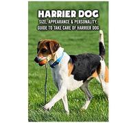 Harrier Dog: Size, Appearance & Personality, Guide To Take Care Of Harrier Dog: Harrier Dog Encyclopedia