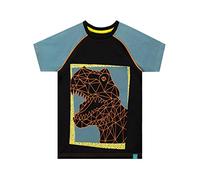Harry Bear - T-Shirt - Dinosaure - Garçon - Noir - 7-8 Ans