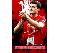 Harry Maguire Notebook: With the continuous development in today's society, we always bring users with products full of convenience for your daily life.