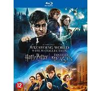 Harry Potter 1-8 + Fantastic beasts 1