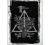 Harry Potter - 40x50 cm - AFFICHE / POSTER G