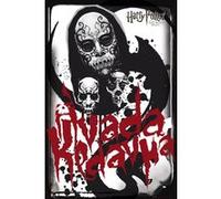 Harry Potter 6 - 61x91,5 cm - AFFICHE / POSTER G