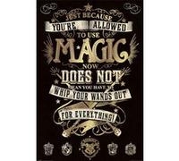 Harry Potter - 61x91,5 cm - AFFICHE / POSTER G