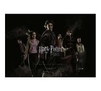 Harry Potter - 68x98 cm - AFFICHE / POSTER G