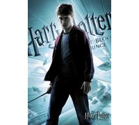Harry Potter - Affiche - 6 - Harry Solo version 2