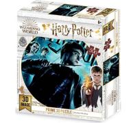 Harry Potter Affiche Groupe Premières 3D Puzzle Tridimensionnel 500 Pcs