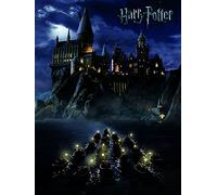 Harry Potter AFWDC90517 Toile Imprimée, Multicolore, 60 x 80 cm