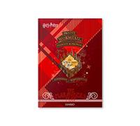 Harry Potter - Agenda scolaire non daté 10 mois, septembre - juin, agenda scolaire avec planificateur assistant mondial - Couverture rigide - Dimensions 11 x 15 cm - 352 Pag - Couverture Carte du