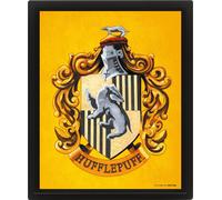 Harry Potter Art Hufflepuff Taille unique Unisex
