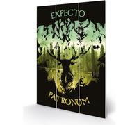 Harry Potter - bois imprimé, "Expecto Patronum" TA7336 (Taille unique) (Noir/Vert)