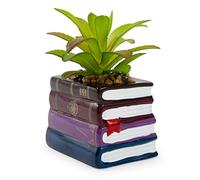Harry Potter Book Stack Pot de fleurs en céramique de 7,6 cm avec plantes succulentes artificielles | Petit pot de fleurs, fausse plante d'intérieur pour étagère de bureau, plateau à bijoux |