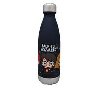 KIDS EUROSWAN, S.L. Bouteille Harry Potter Back to Hogwarts Warner Bros. Discovery Vert 650 ml