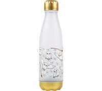Harry Potter - Bouteille d'eau NS6489 (taille unique) (argent/or)