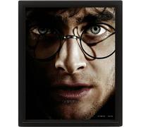 Pyramid international – Cadre lenticulaire 3D Harry Potter (Voldemort) 25,5×20,5–Licence officielle