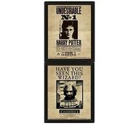 Harry Potter Cadre 3d Lenticulaire Sirius /2