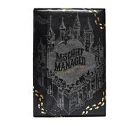 Harry Potter - Carnet de poche (21 cm x 14,5 cm) (Noir/Gris/Jaune or)