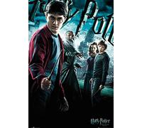 Harry Potter Close Up Poster et Le Prince de Sang-mêlé (61cm x 91,5cm)