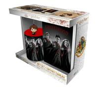 Harry Potter Coffret Mug 320 ml + Porte-clés + Carnet Ron Hermione Ron