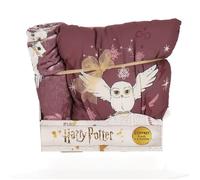 Pokemon - Coffret Plaid et Coussin Harry Potter Hedwige - Plaid Tout Doux 100x140 cm et Coussin carré 35x35 cm